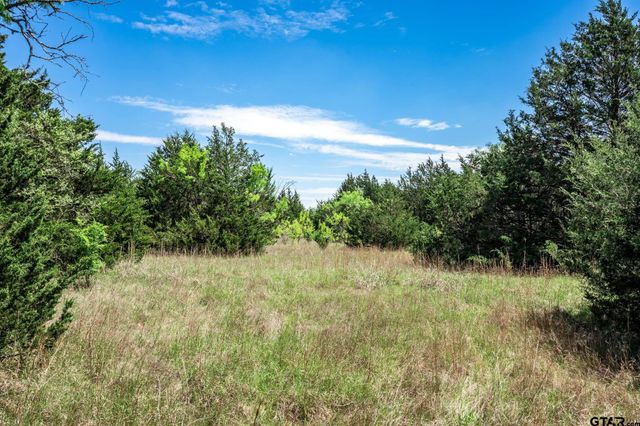 0000 County Road 308, Terrell, TX 75160