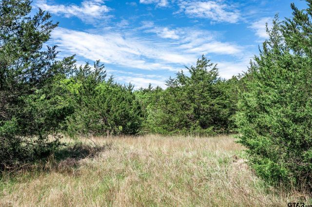 0000 County Road 308, Terrell, TX 75160