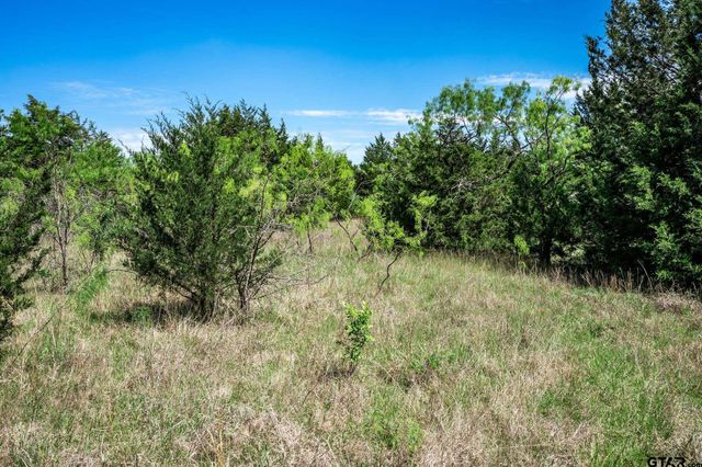0000 County Road 308, Terrell, TX 75160