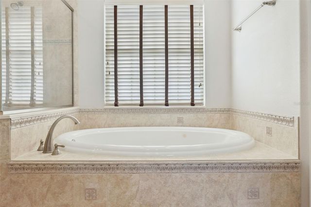 243 ZACHARY WADE STREET, Winter Garden, FL 34787