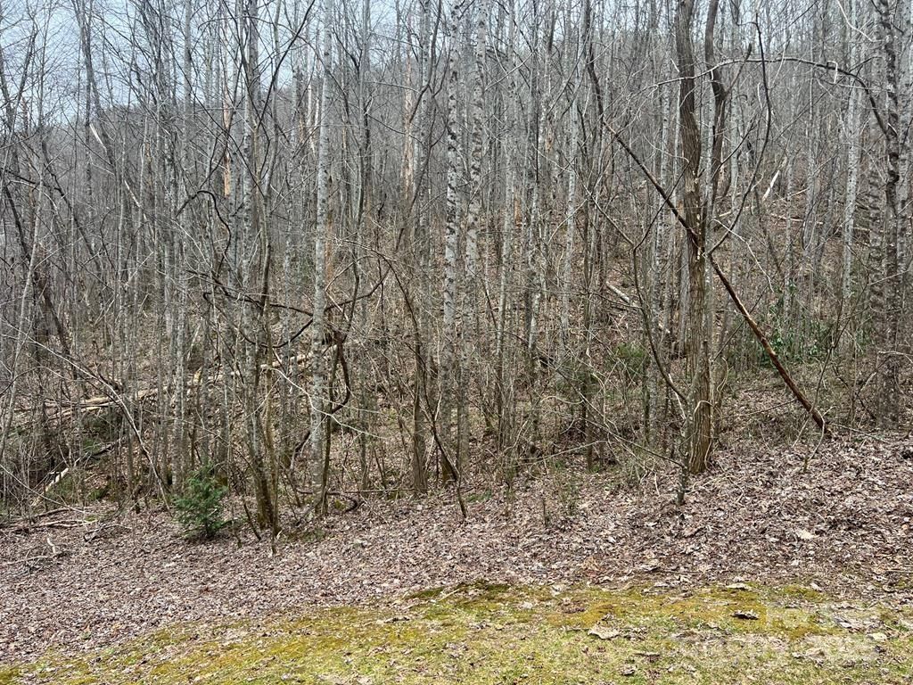 0 English Setter Trail Lot 8, Whittier, NC 28789