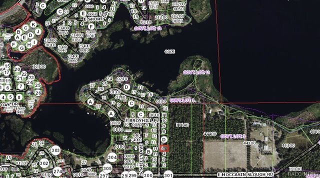 2413 S Carnegie Drive, Inverness, FL 34450