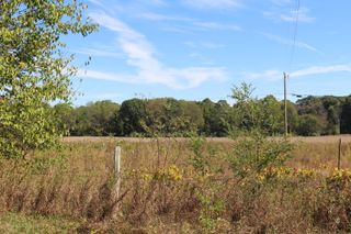 000 Burtch Parcel 3 Road, Grass Lake Twp, MI 49240