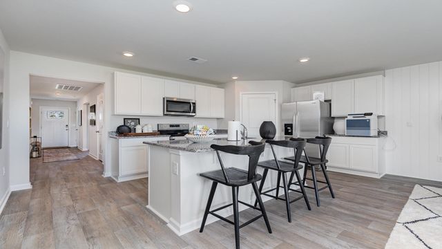 265 Red Buckeye Dr., Conway, SC 29527