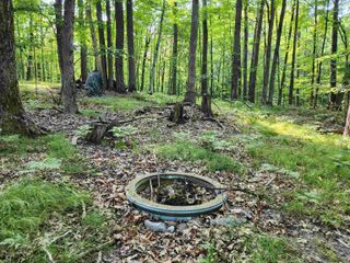 5296 Fawn Terrace, Farwell, MI 48622