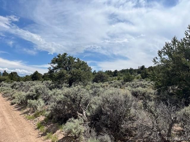 Lot 15 Deer Park Trail, San Luis, CO 81152