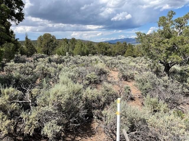 Lot 15 Deer Park Trail, San Luis, CO 81152