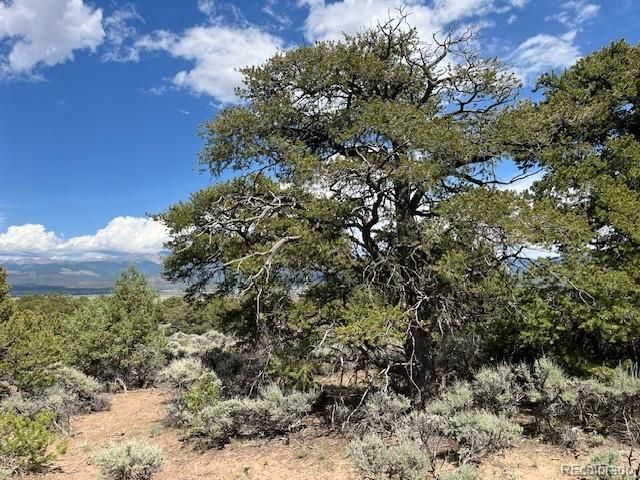 Lot 15 Deer Park Trail, San Luis, CO 81152