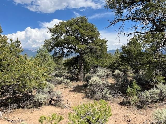 Lot 15 Deer Park Trail, San Luis, CO 81152