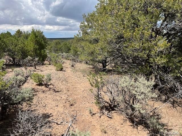 Lot 15 Deer Park Trail, San Luis, CO 81152