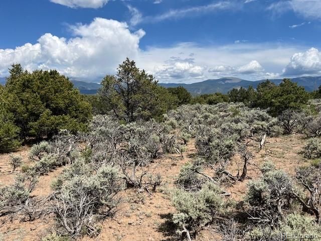 Lot 15 Deer Park Trail, San Luis, CO 81152