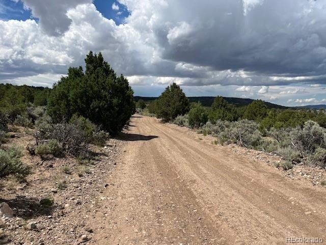Lot 15 Deer Park Trail, San Luis, CO 81152