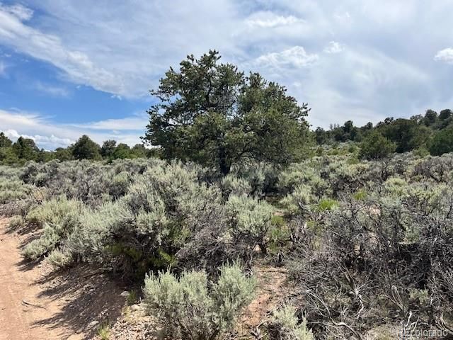 Lot 15 Deer Park Trail, San Luis, CO 81152