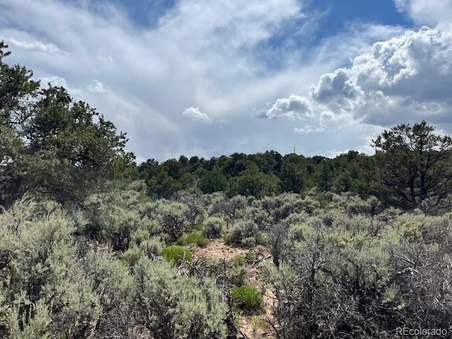 Lot 15 Deer Park Trail, San Luis, CO 81152