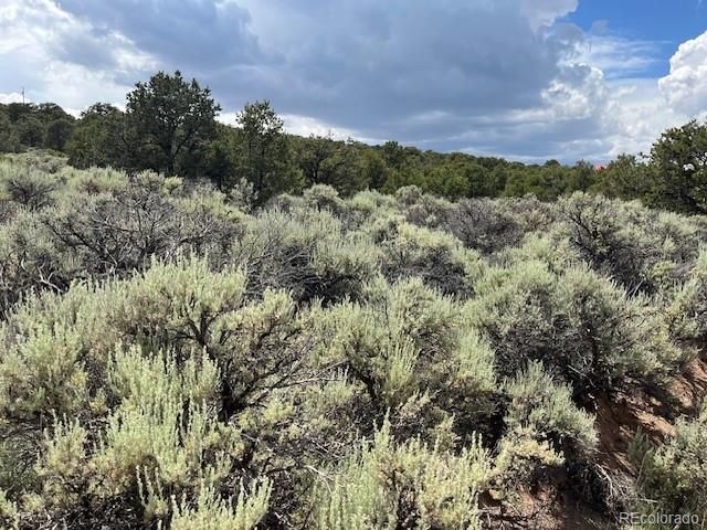 Lot 15 Deer Park Trail, San Luis, CO 81152