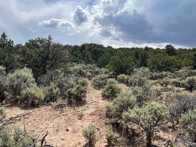 Lot 15 Deer Park Trail, San Luis, CO 81152