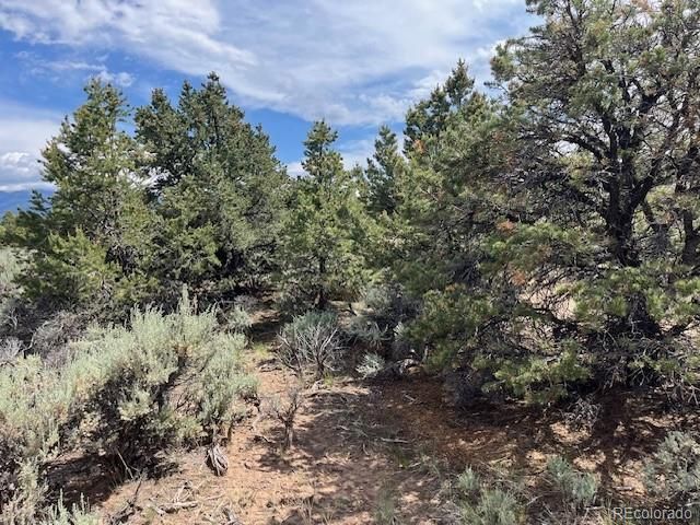 Lot 15 Deer Park Trail, San Luis, CO 81152