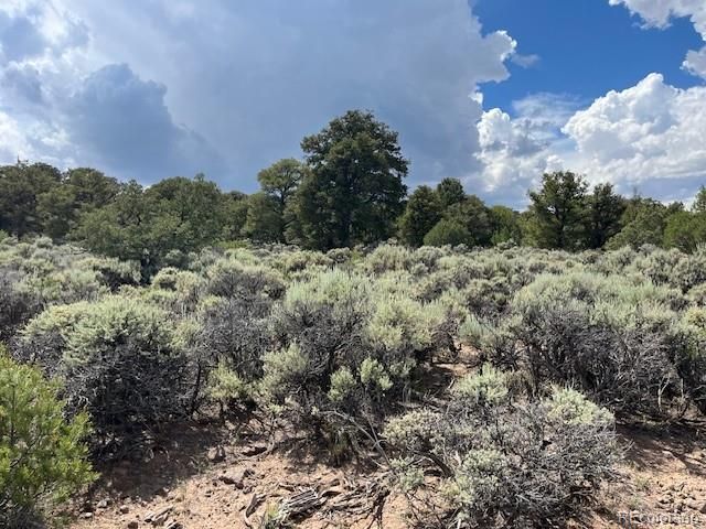 Lot 15 Deer Park Trail, San Luis, CO 81152