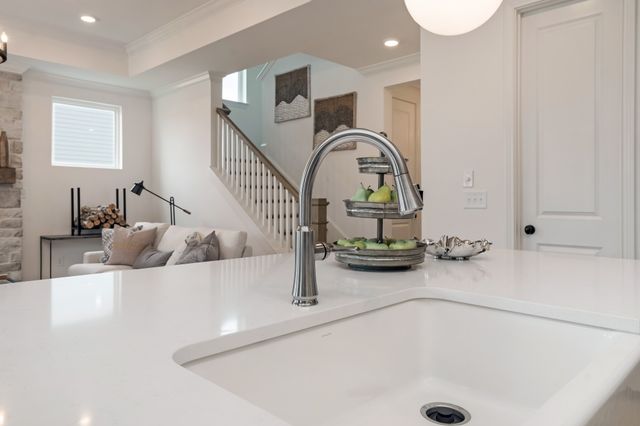 7301 Buckhorn Court, Fairview, TN 37062