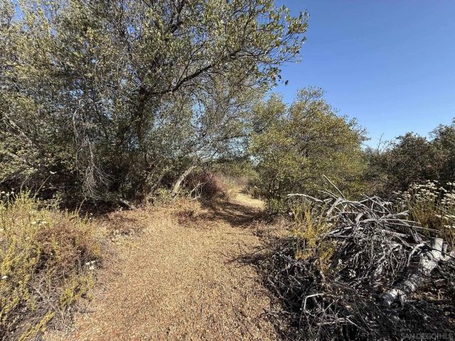 22815 Illahee Dr., Alpine, CA 91901