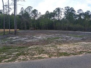 00000 Deerfield Drive, Irvington, AL 36544
