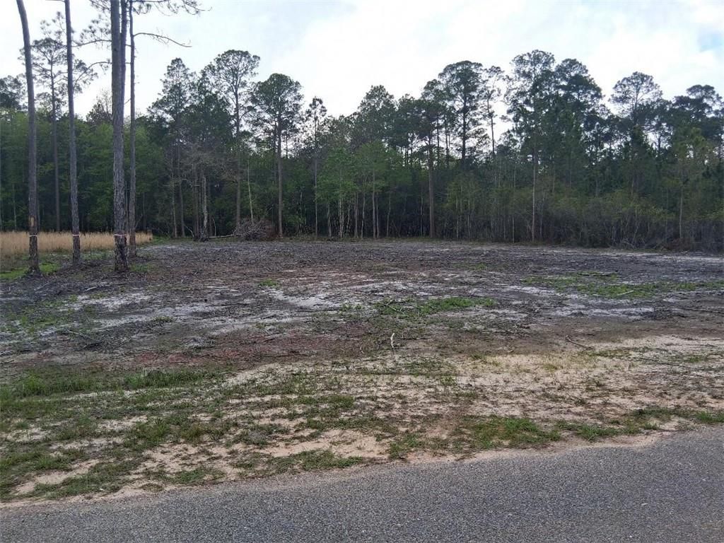 00000 Deerfield Drive, Irvington, AL 36544