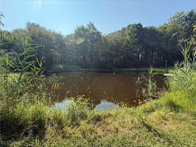 5082 Cork Cold Springs Road, Geneva, OH 44041