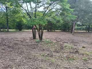 Taylor Barnett Road, Garfield, AR 72732