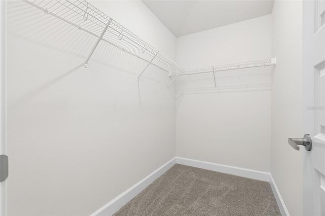 16897 NW 176TH WAY, Alachua, FL 32615