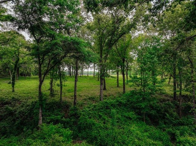 10647 E Fm 3178, Oakwood, TX 75855