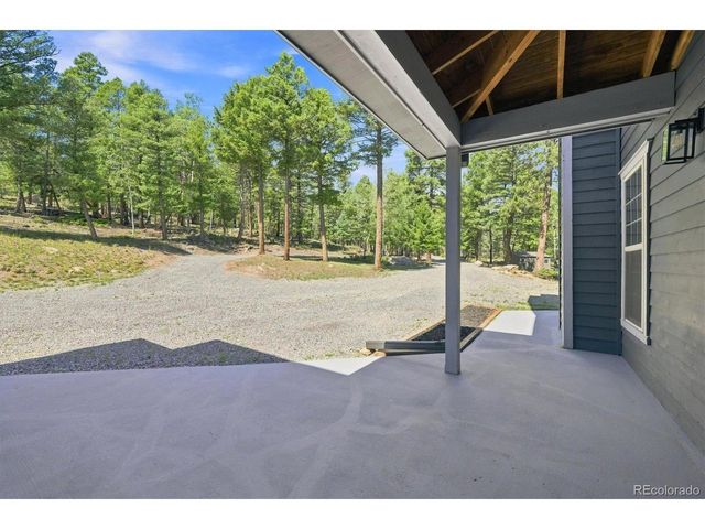 13272 Riley Peak Rd, Conifer, CO 80433