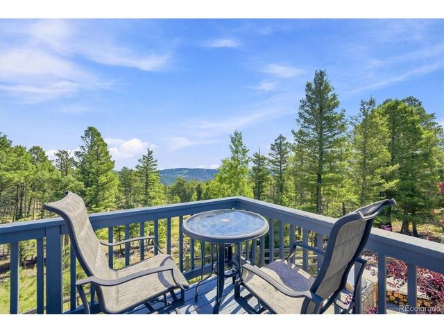 13272 Riley Peak Rd, Conifer, CO 80433