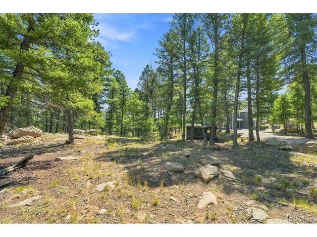 13272 Riley Peak Rd, Conifer, CO 80433