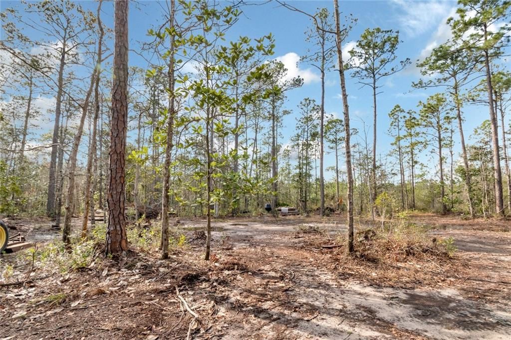 5250 Lossing Road, Coden, AL 36523 — photo 2