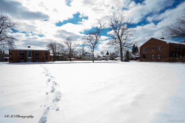 13515 Greiner Street, Detroit, MI 48205