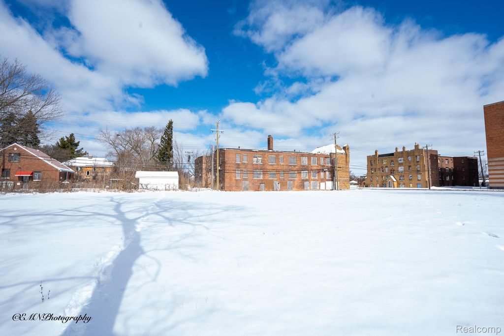 13515 Greiner Street, Detroit, MI 48205