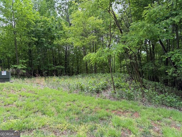LOT 67 The Sanctuary at Vance Mountain, Murphy, NC 28906