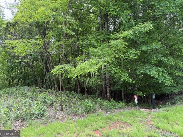 LOT 67 The Sanctuary at Vance Mountain, Murphy, NC 28906