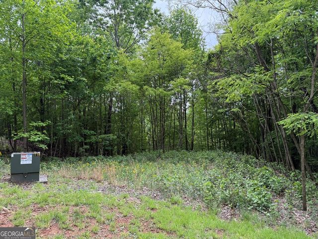 LOT 67 The Sanctuary at Vance Mountain, Murphy, NC 28906