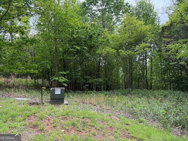 LOT 67 The Sanctuary at Vance Mountain, Murphy, NC 28906