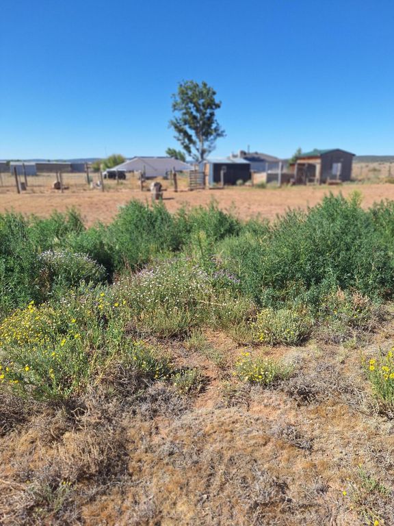 Image 51 of property listing at 244 Frost Road # B, Edgewood, NM 87015
