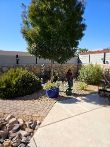 2531 Petaluma Avenue, Las Cruces, NM 88011