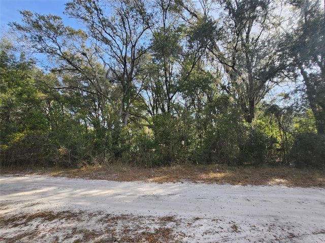 TBD SE 145 STREET, Summerfield, FL 34491