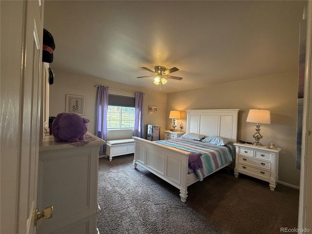 17 Garfield Circle, Florissant, CO 80816