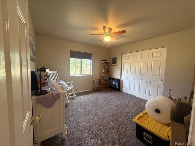 17 Garfield Circle, Florissant, CO 80816