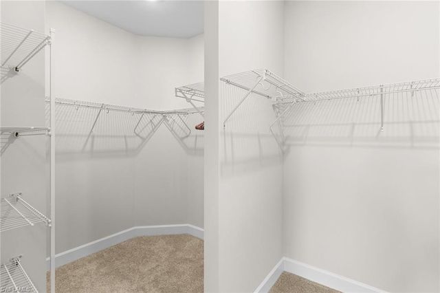 15657 Gavello ST, Other, FL 34114