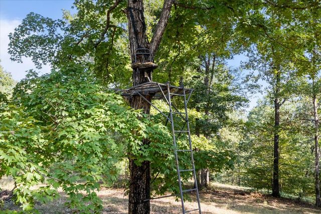 116 Stewart Ln, Waverly, TN 37185