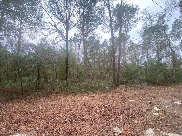 SW 156TH PLACE 0, Dunnellon, FL 34432