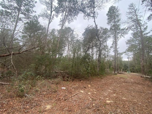 SW 156TH PLACE 0, Dunnellon, FL 34432