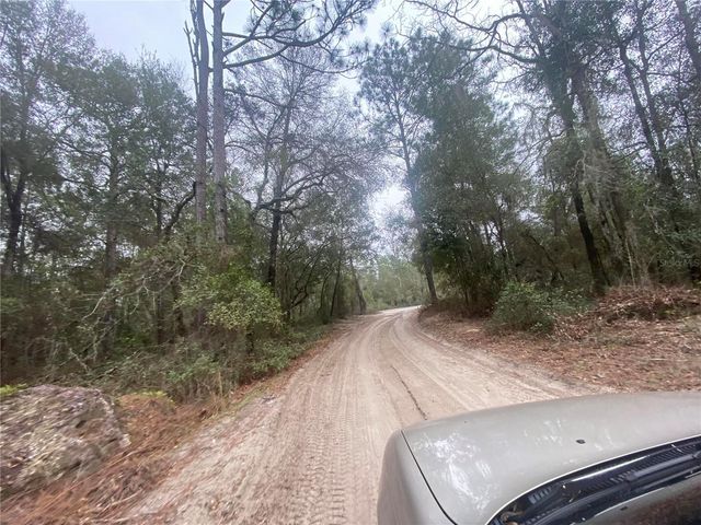 SW 156TH PLACE 0, Dunnellon, FL 34432